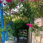 Hotel Itaka Summer Lukovë