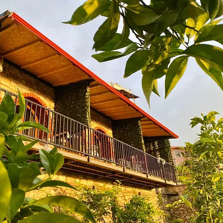 Itaka Summer Hotel Lukove