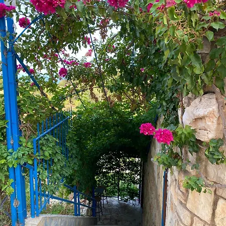 ホテル Itaka Summer Lukovë