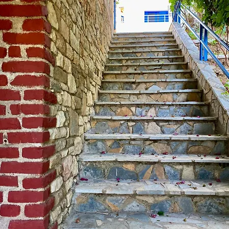 Itaka Summer Lukovë